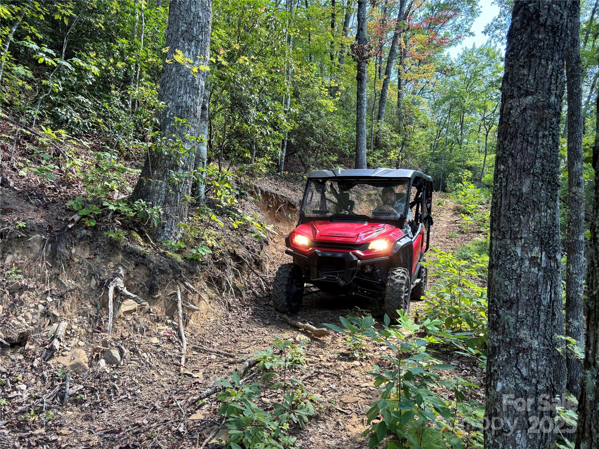 9999 Cindy Cove Trail Property Photo 21
