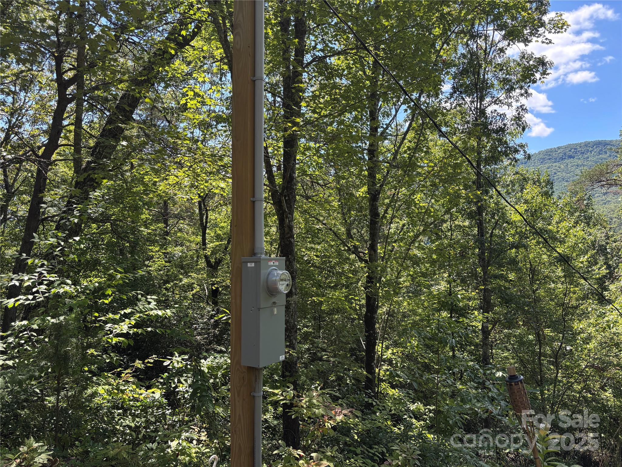 9999 Cindy Cove Trail Property Photo 25
