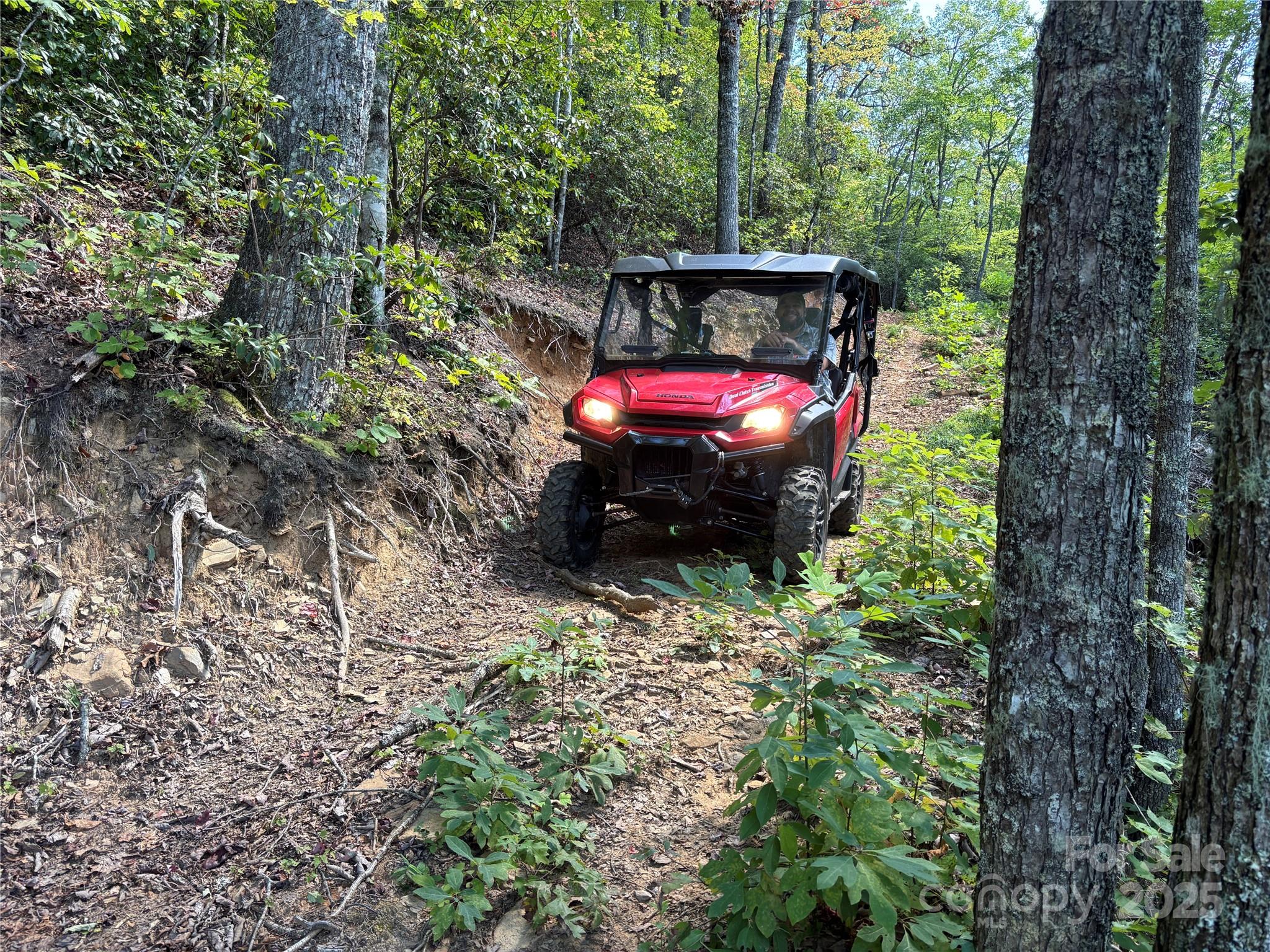 9999 Cindy Cove Trail Property Photo 26