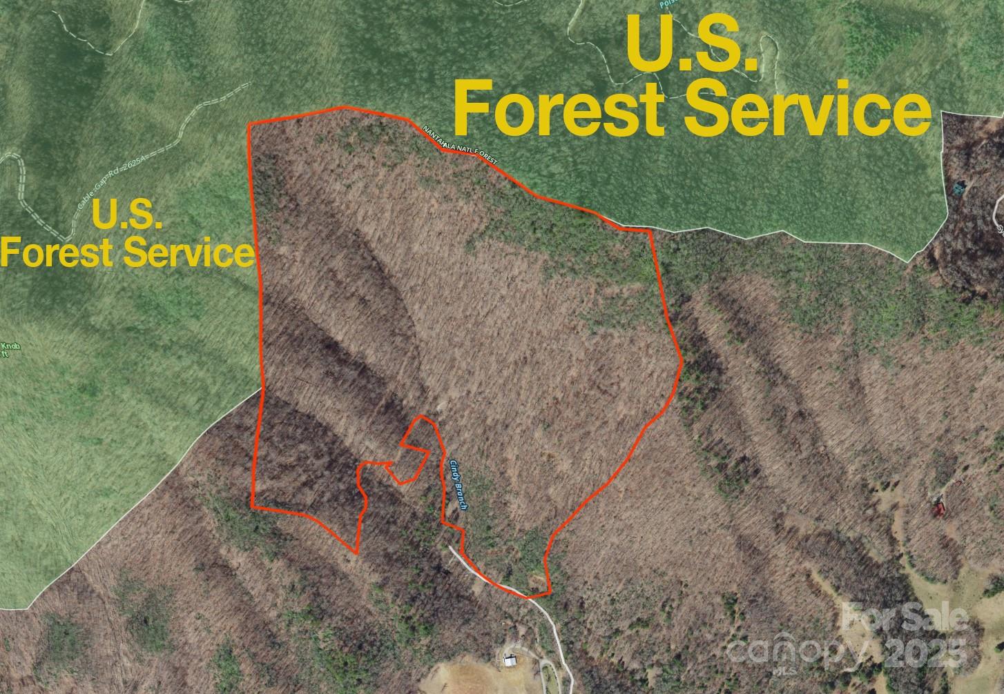 9999 Cindy Cove Trail Property Photo 27