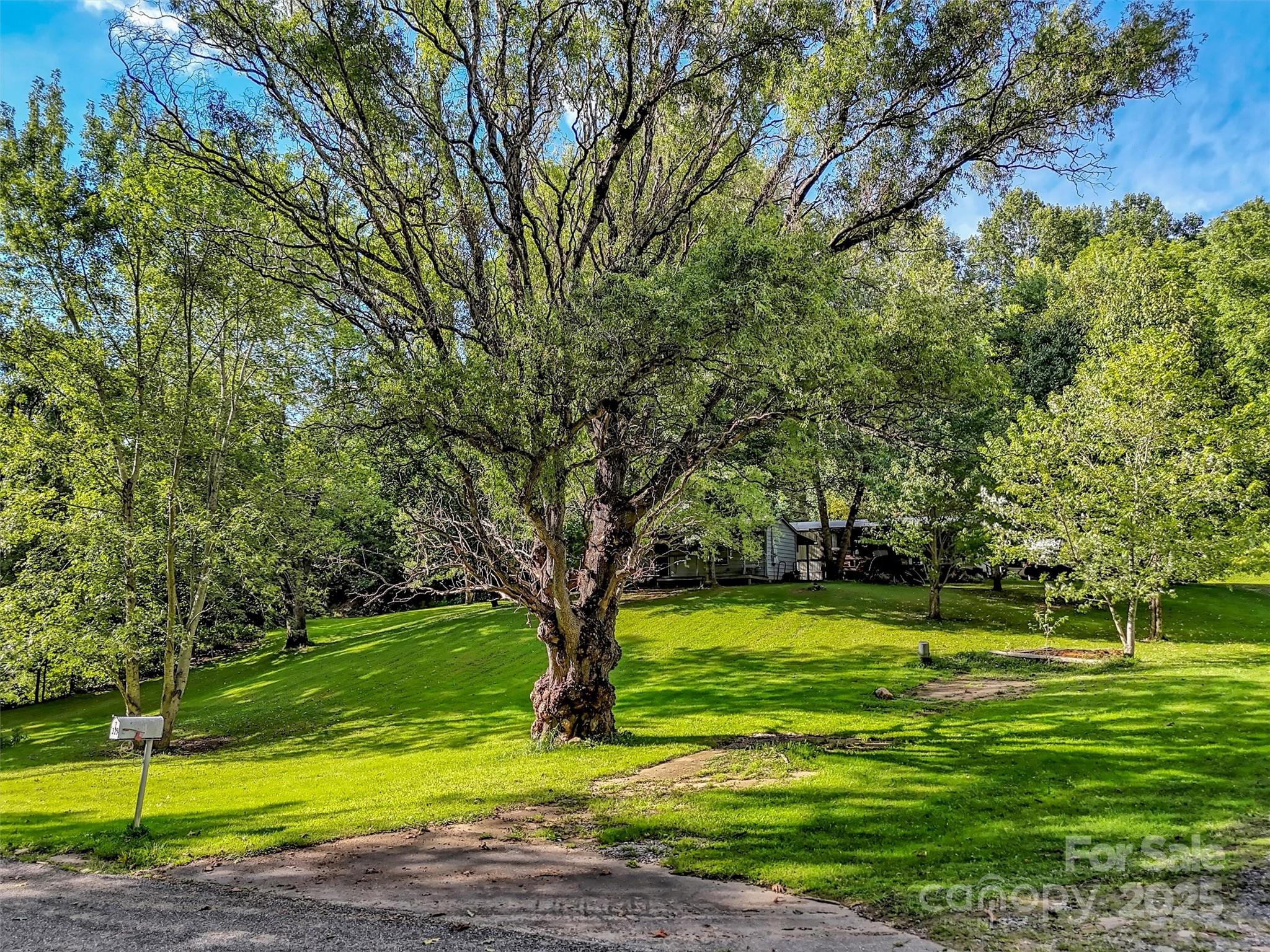 323 Jody Cove Property Photo 1