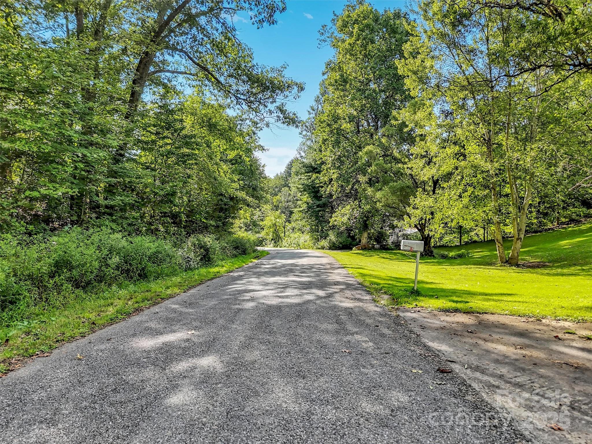 323 Jody Cove Property Photo 9