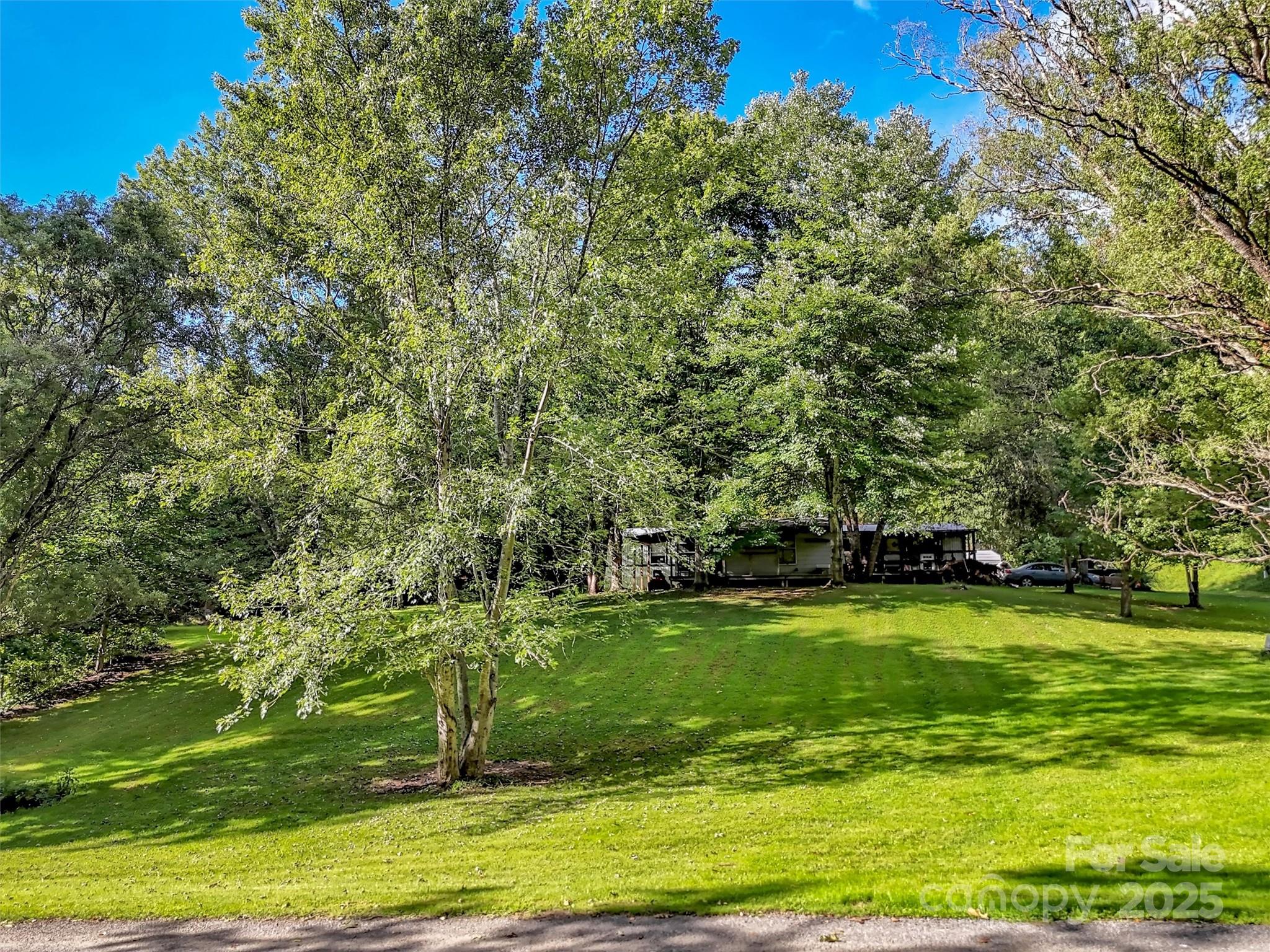 323 Jody Cove Property Photo 11