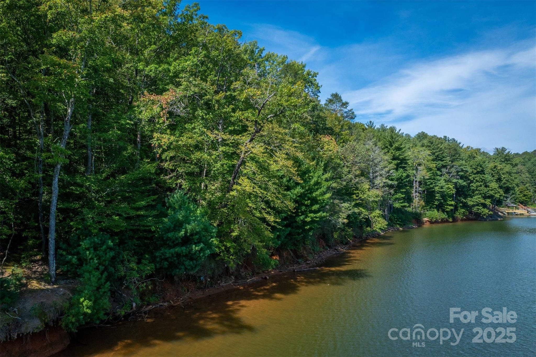 2205 Black Forest Drive 28 Property Photo 10