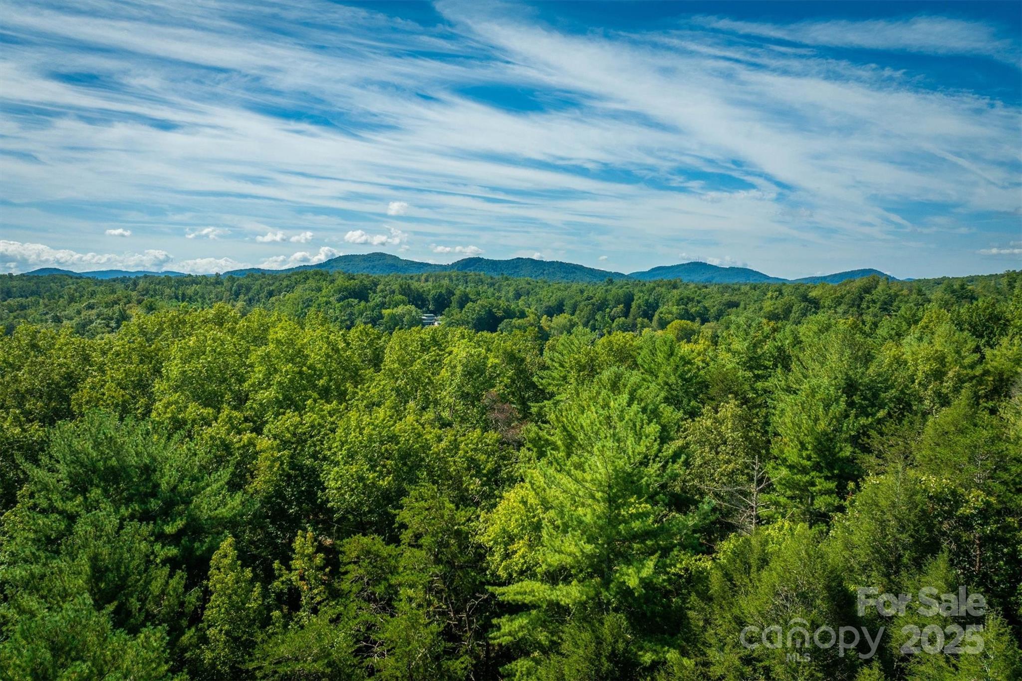 2205 Black Forest Drive 28 Property Photo 12