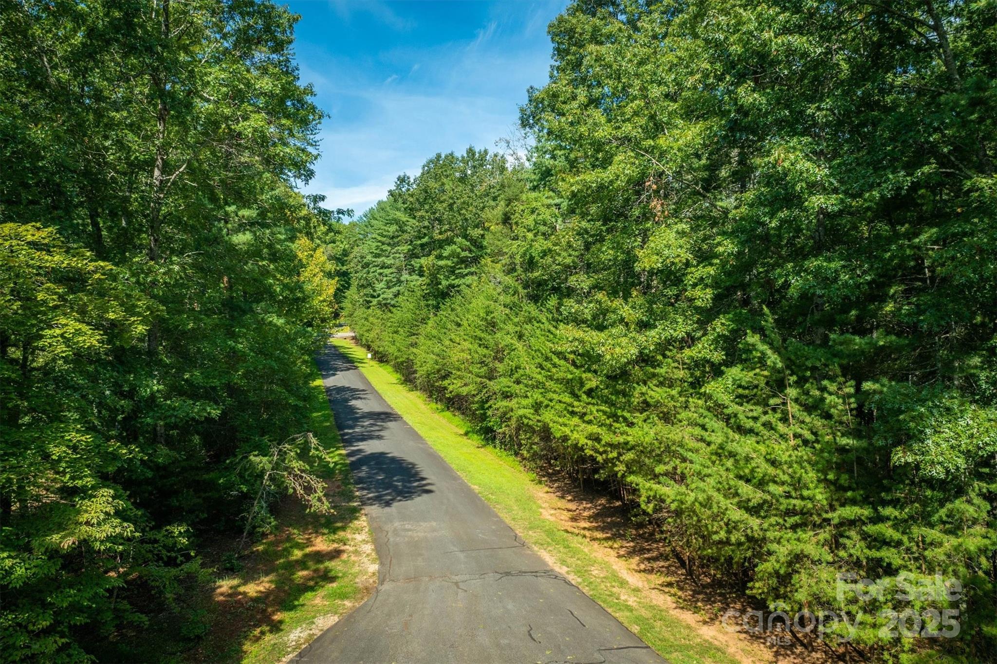 2205 Black Forest Drive 28 Property Photo 13