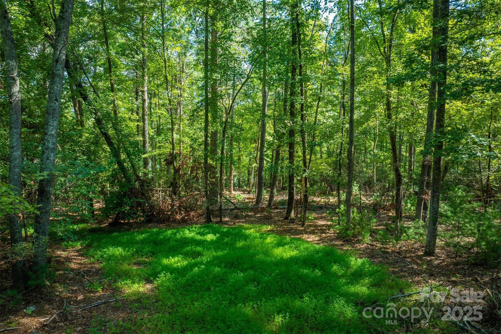 2205 Black Forest Drive 28 Property Photo 14