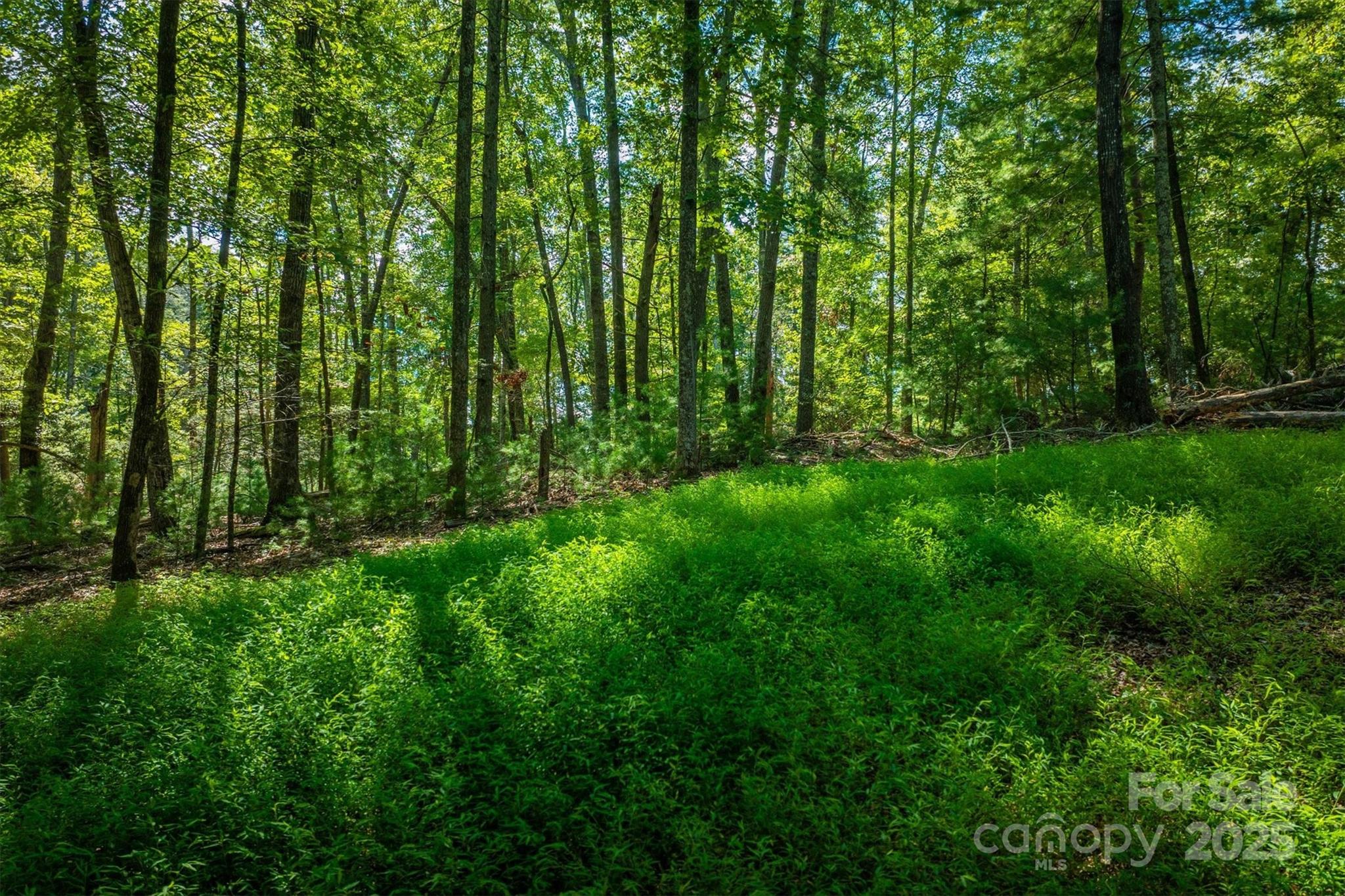 2205 Black Forest Drive 28 Property Photo 15