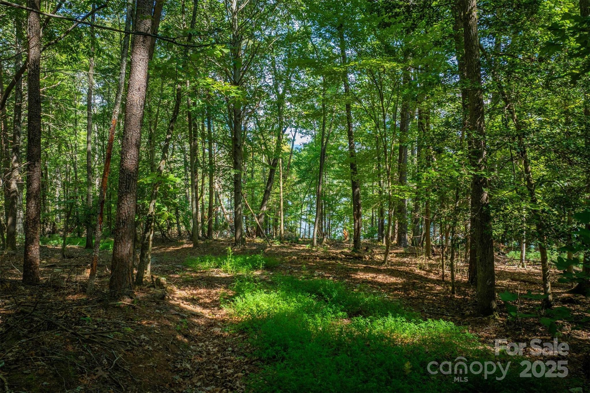 2205 Black Forest Drive 28 Property Photo 16