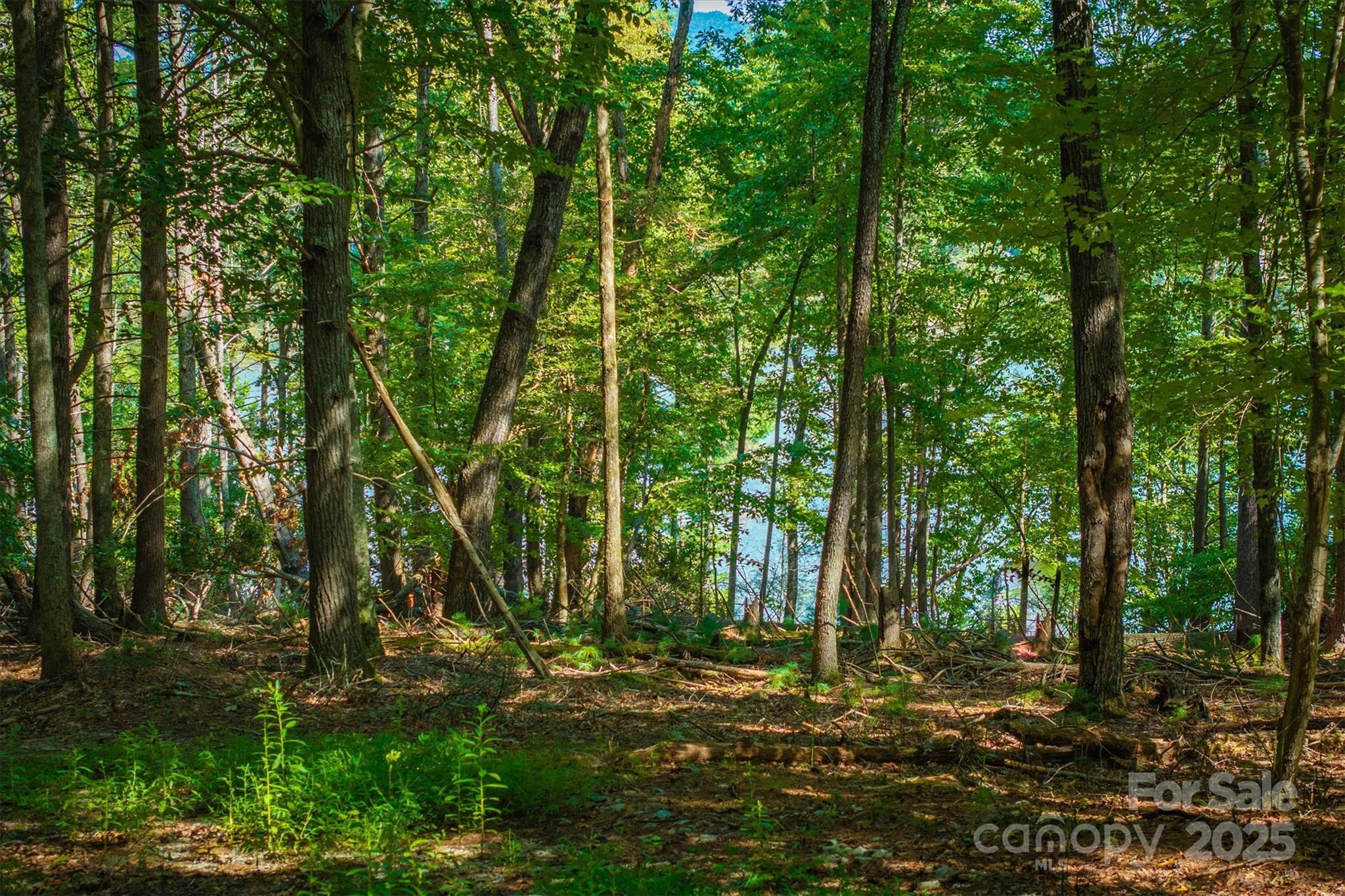 2205 Black Forest Drive 28 Property Photo 17