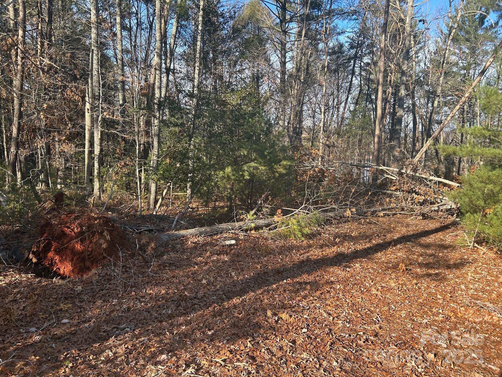 2205 Black Forest Drive 28 Property Photo 18