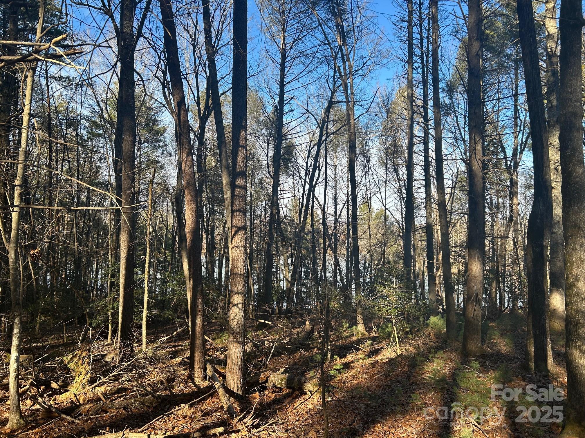 2205 Black Forest Drive 28 Property Photo 19