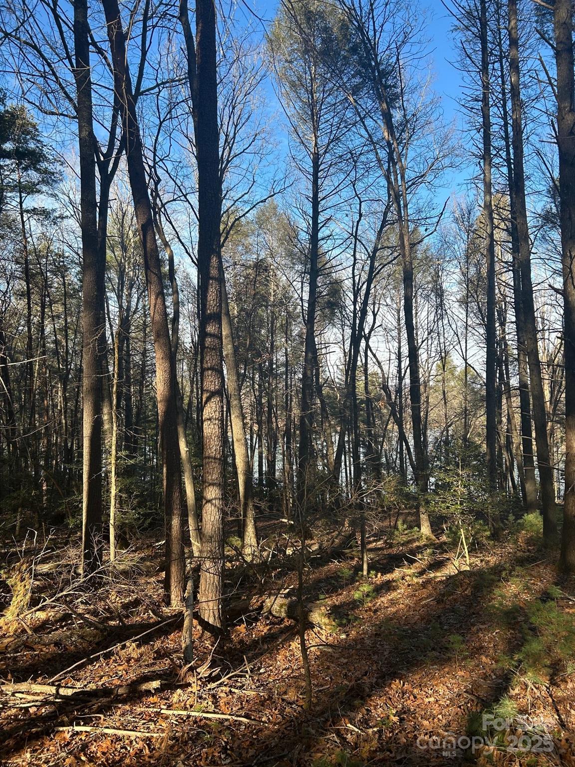 2205 Black Forest Drive 28 Property Photo 22