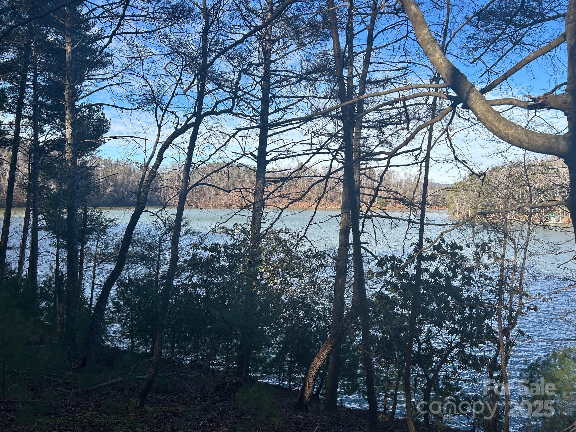 2205 Black Forest Drive 28 Property Photo 23