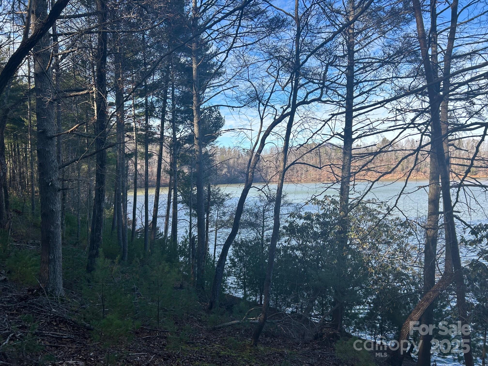 2205 Black Forest Drive 28 Property Photo 24