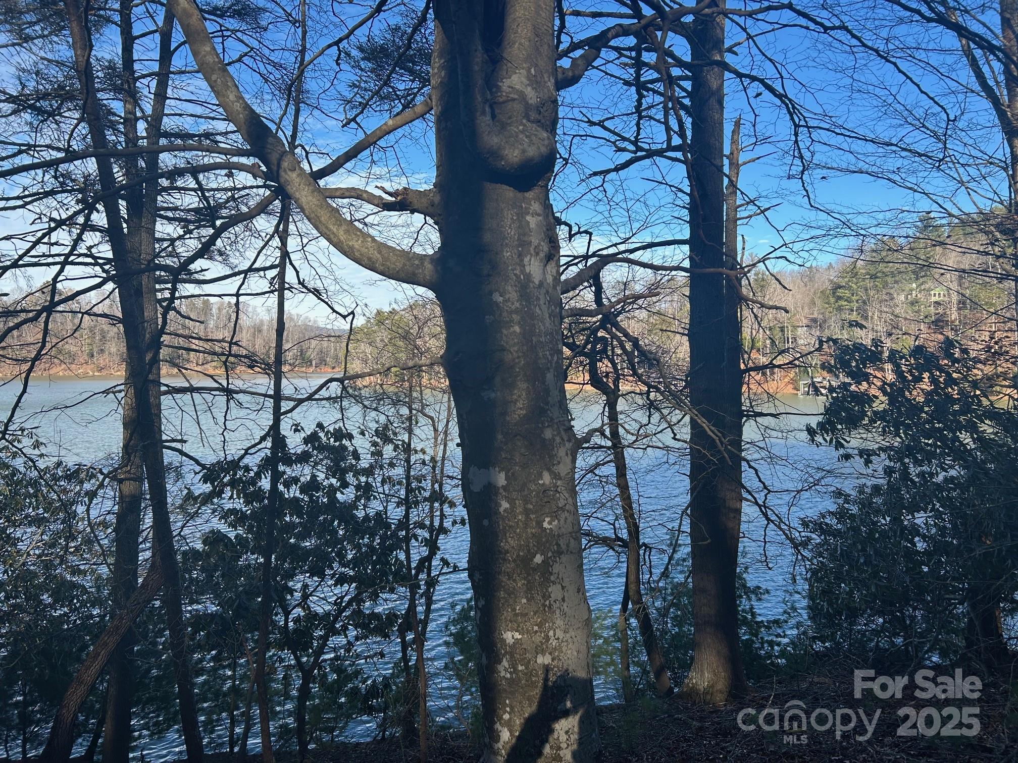 2205 Black Forest Drive 28 Property Photo 25