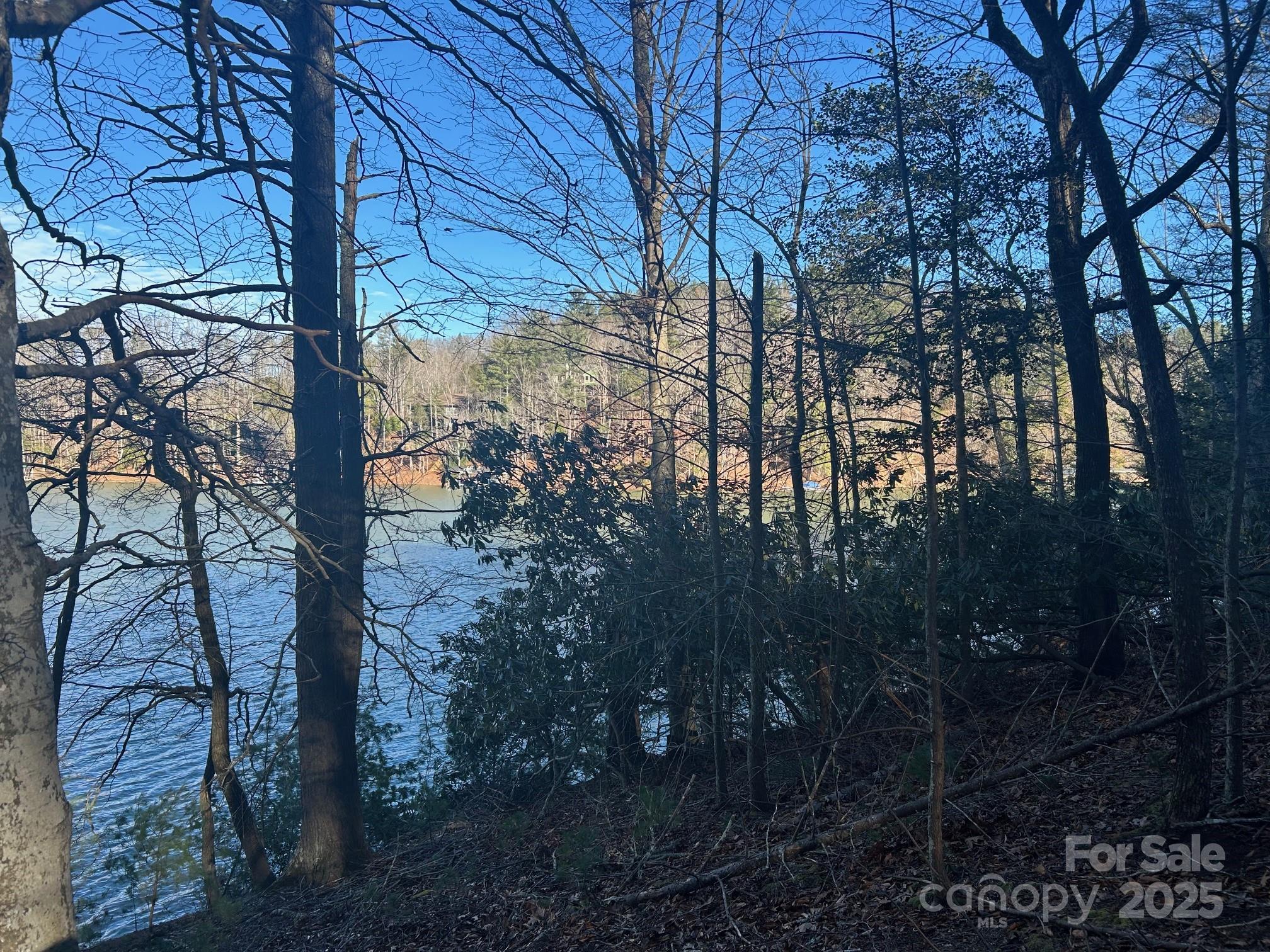 2205 Black Forest Drive 28 Property Photo 26