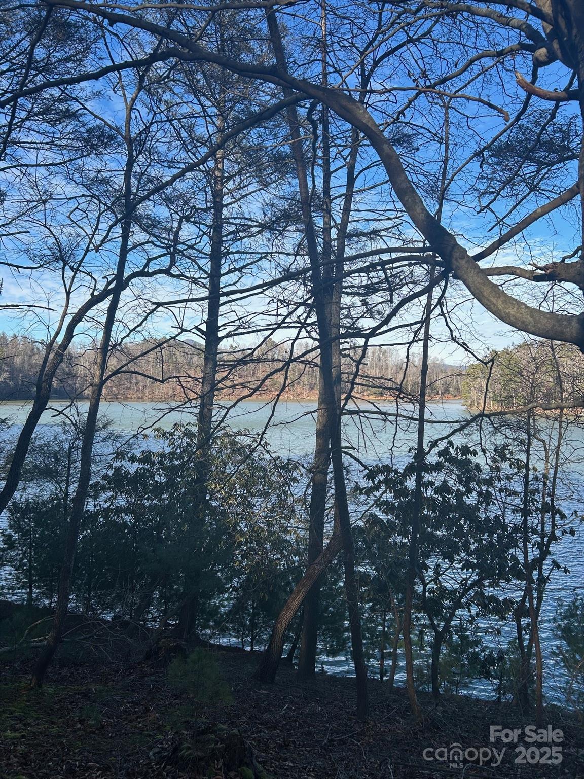 2205 Black Forest Drive 28 Property Photo 27