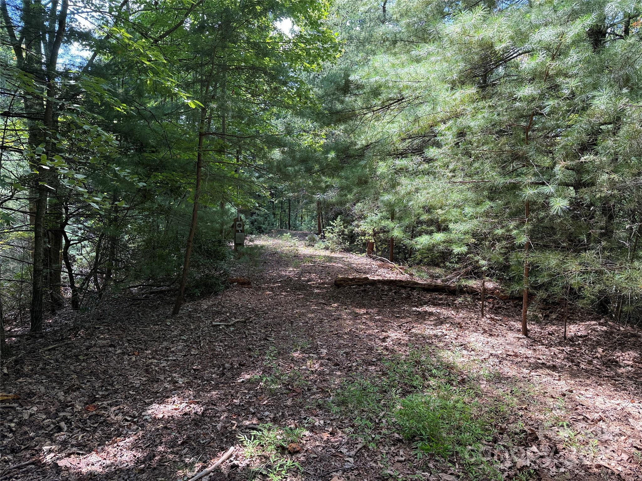 Tbd Hickory Hollow Road 102 & 103 Property Photo 3