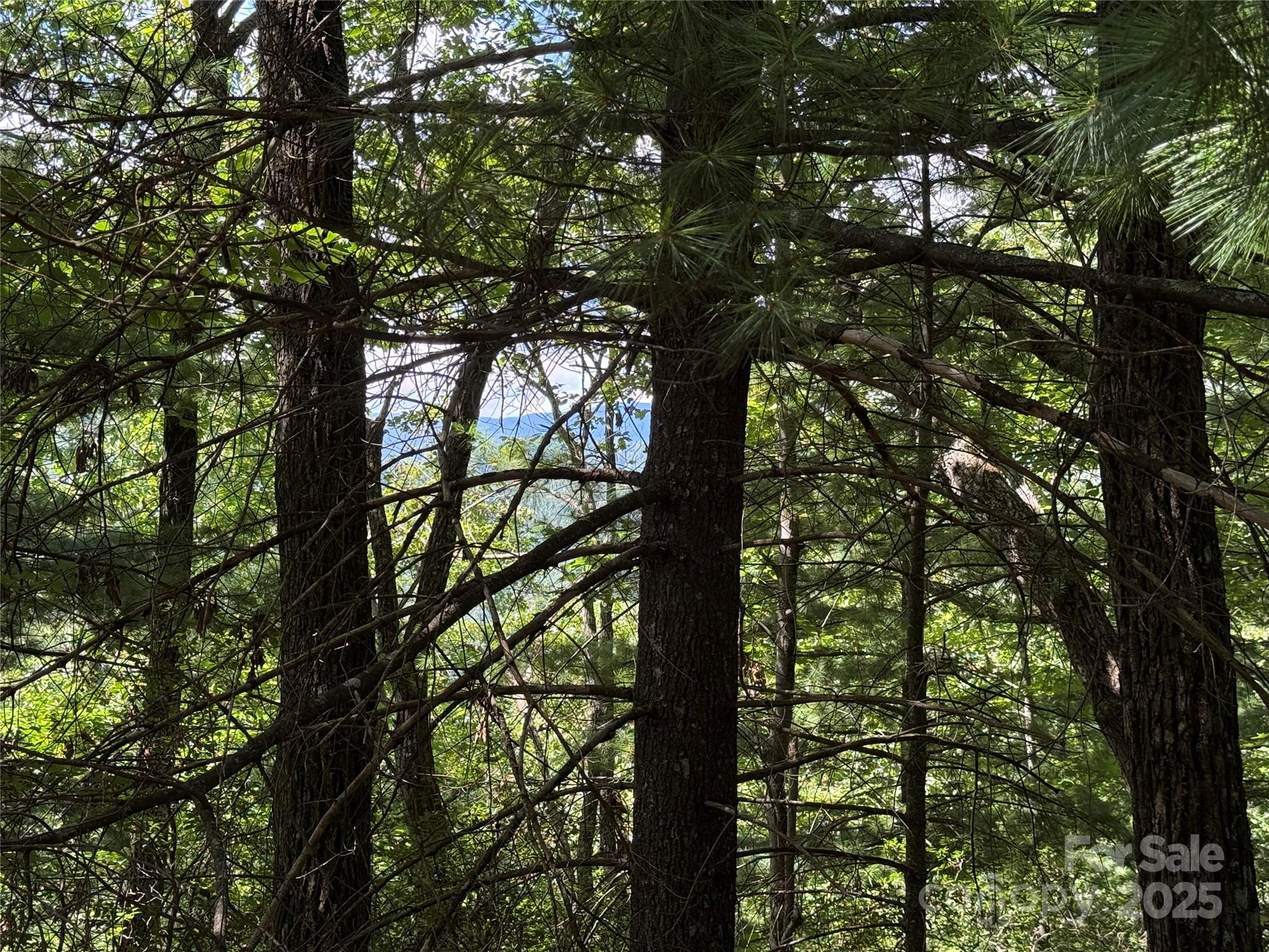 Tbd Hickory Hollow Road 102 & 103 Property Photo 7