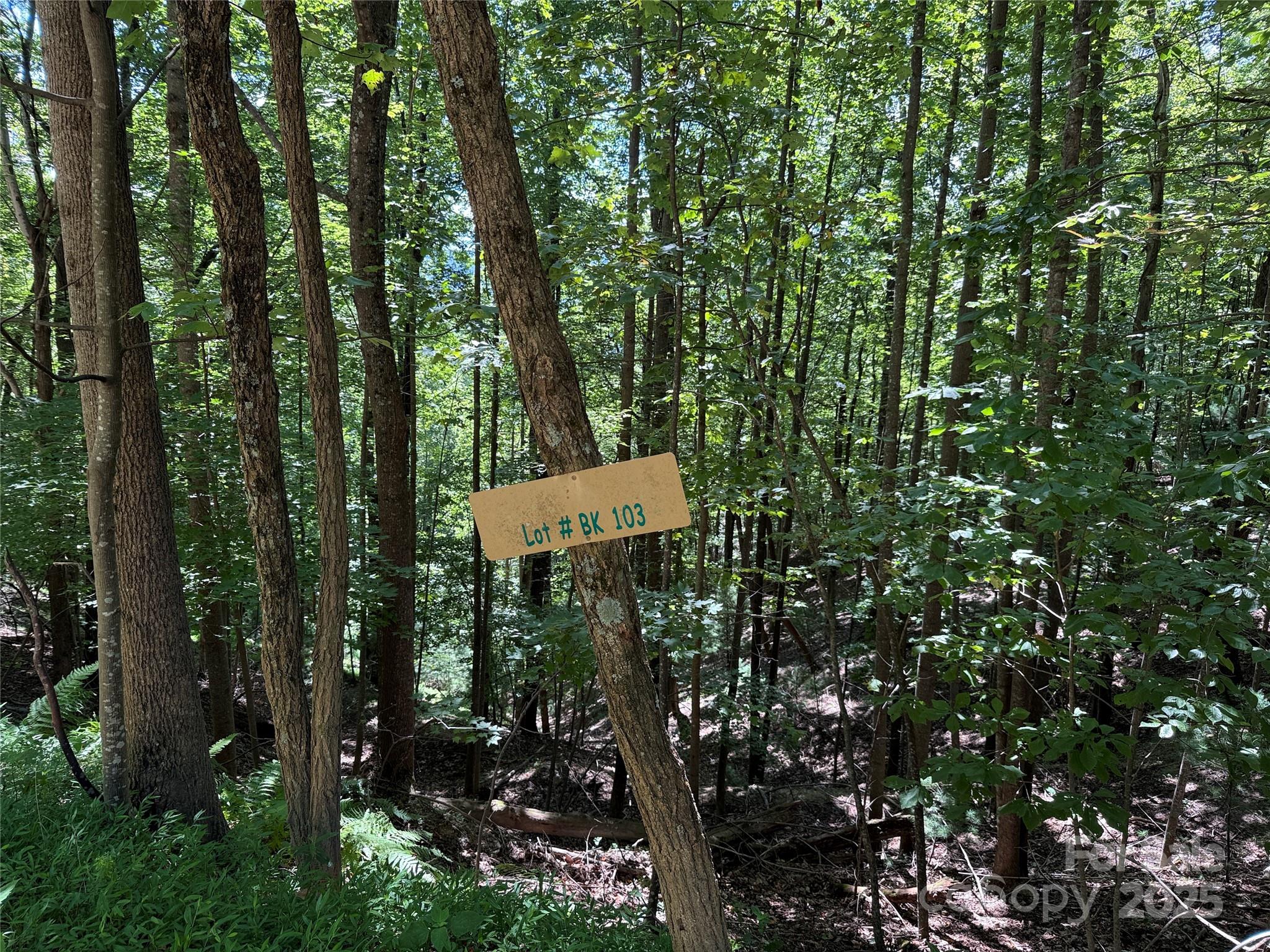 Tbd Hickory Hollow Road 102 & 103 Property Photo 11