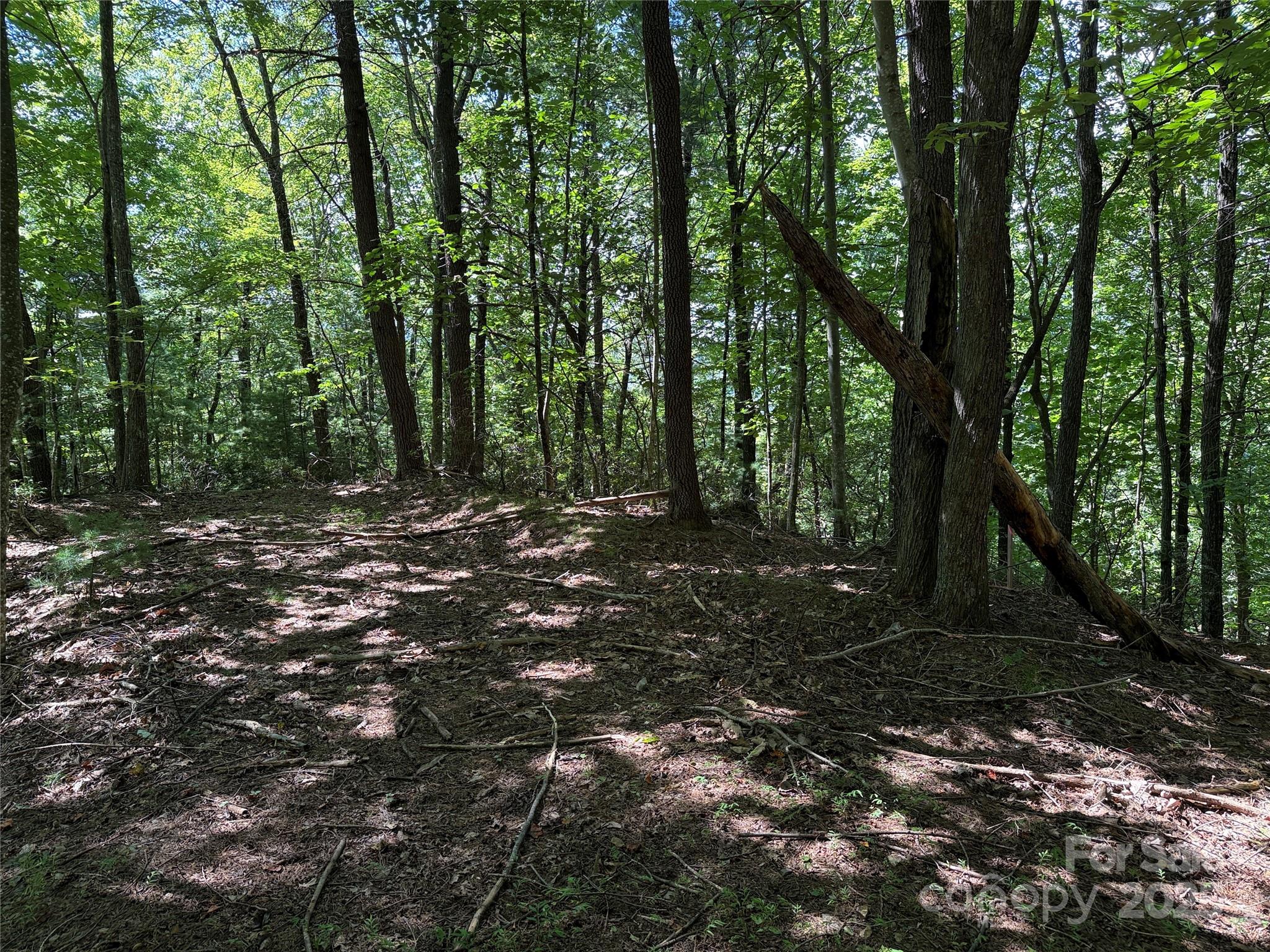 Tbd Hickory Hollow Road 102 & 103 Property Photo 14