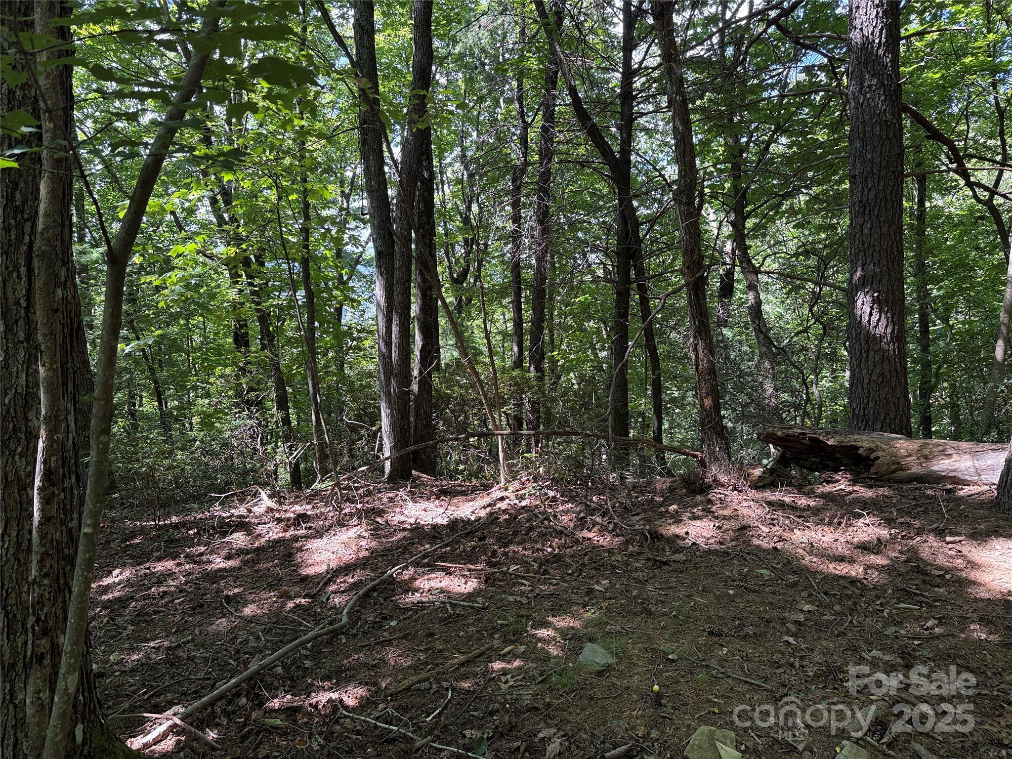 Tbd Hickory Hollow Road 102 & 103 Property Photo 15