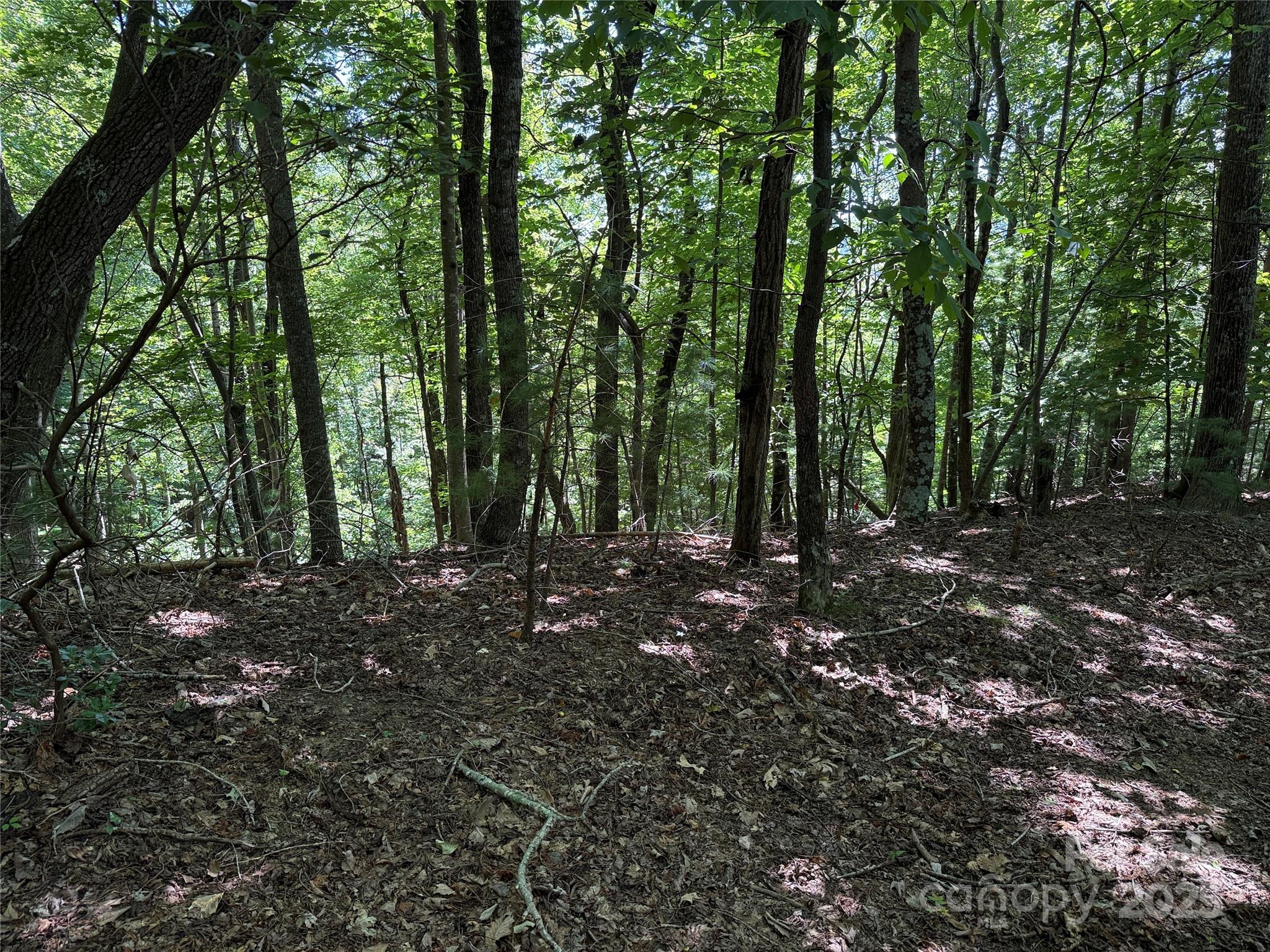 Tbd Hickory Hollow Road 102 & 103 Property Photo 16