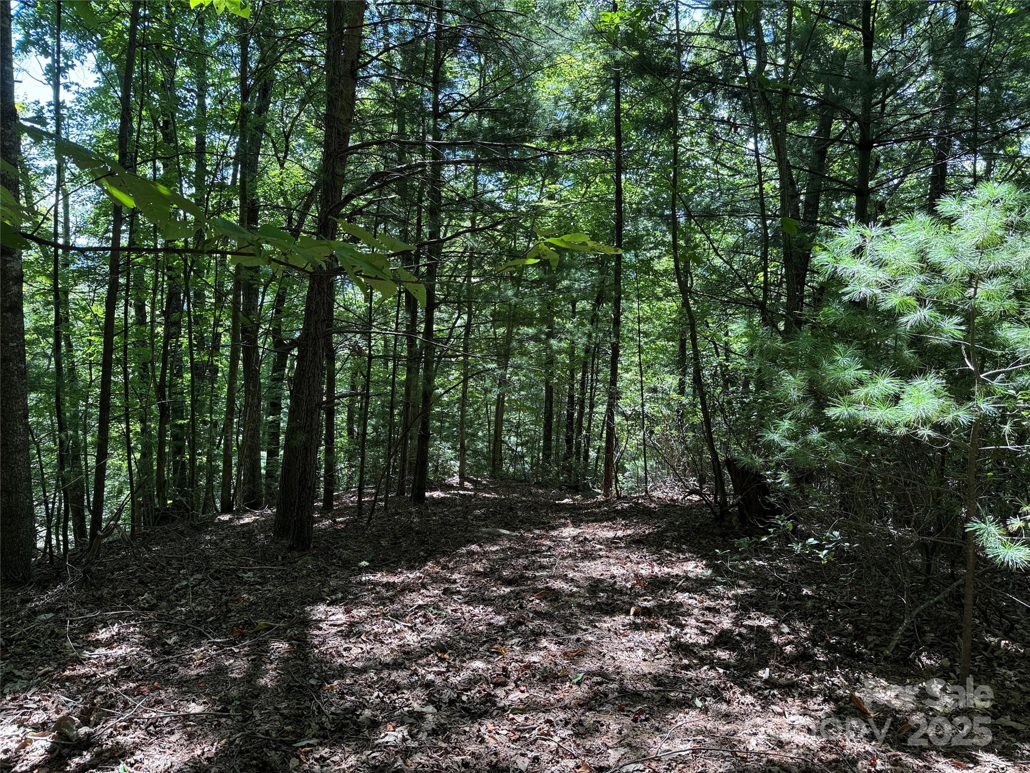 Tbd Hickory Hollow Road 102 & 103 Property Photo 17