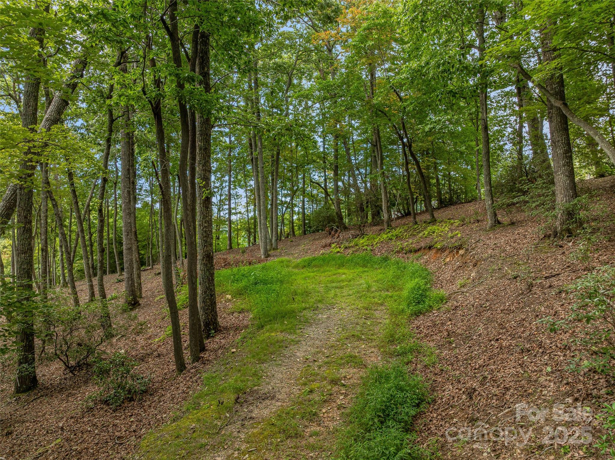 565 Walnut Valley Parkway 158 Property Photo 14