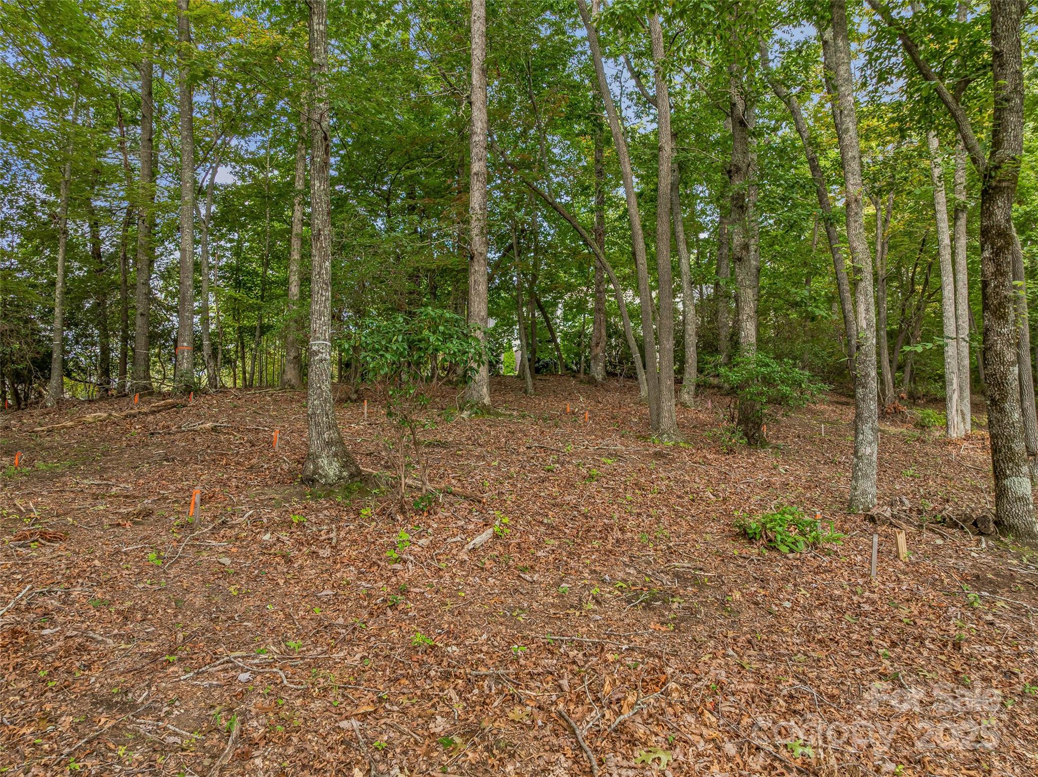 565 Walnut Valley Parkway 158 Property Photo 20