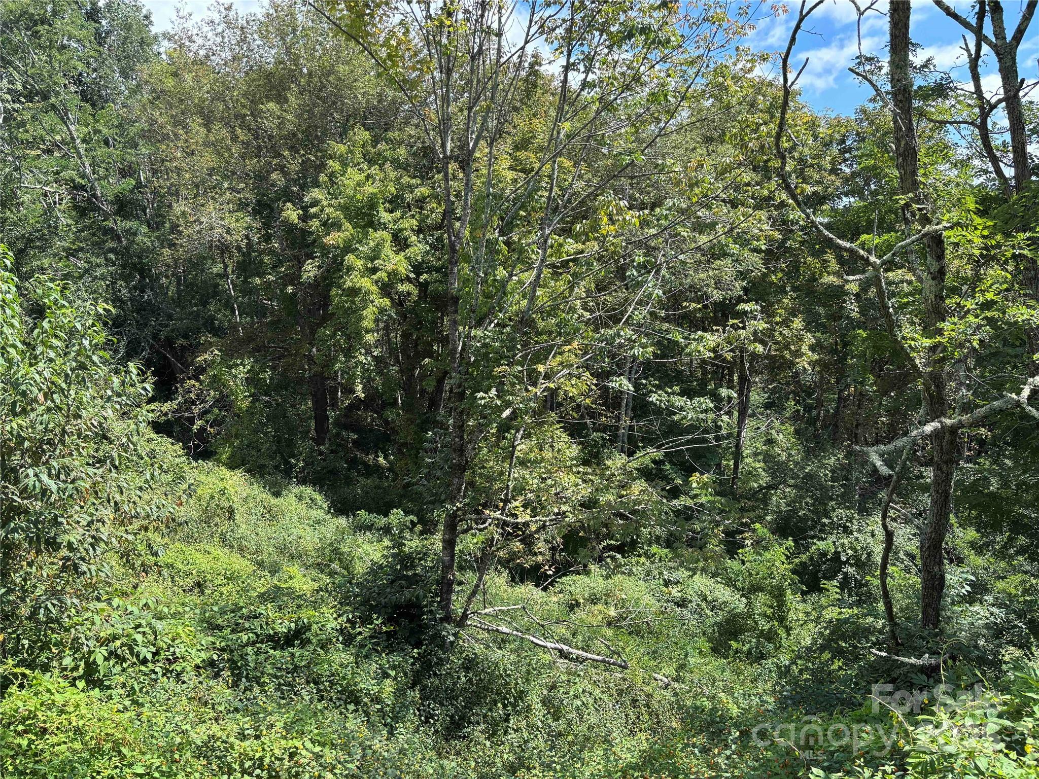 Tbd Linhigh Drive 66 Property Photo 3