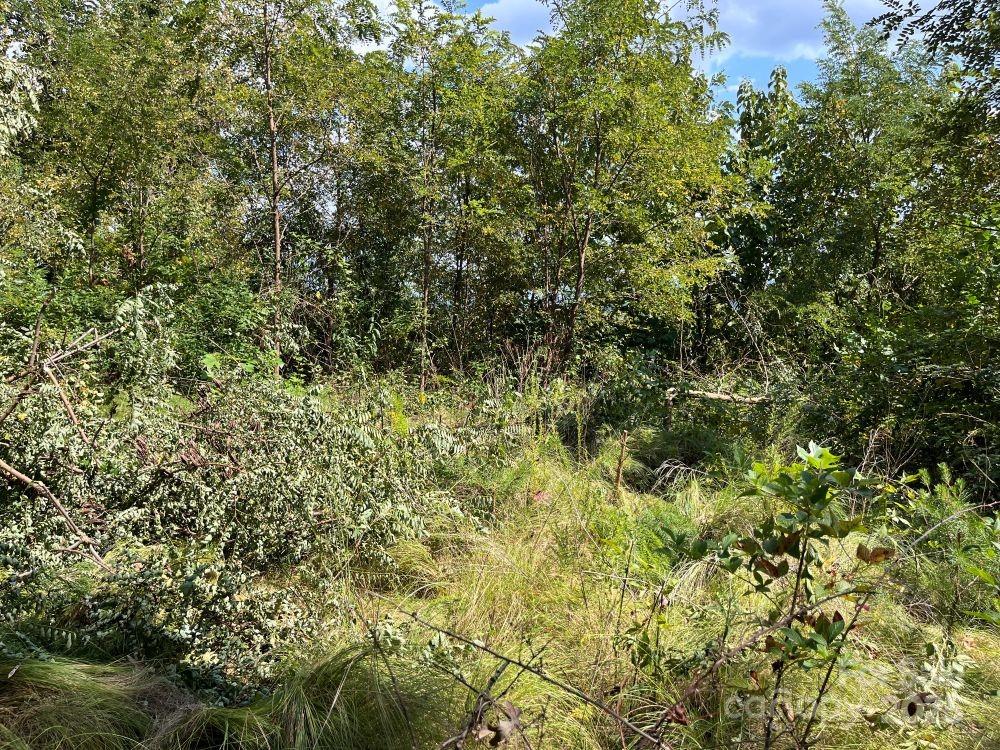 4 Summit View Drive 4 Property Photo 9