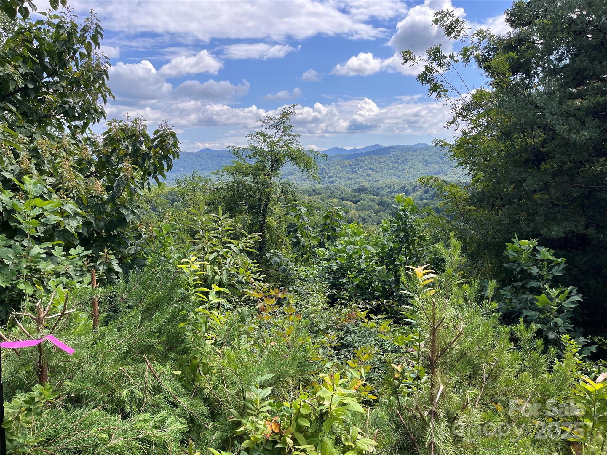 4 Summit View Drive 4 Property Photo 13