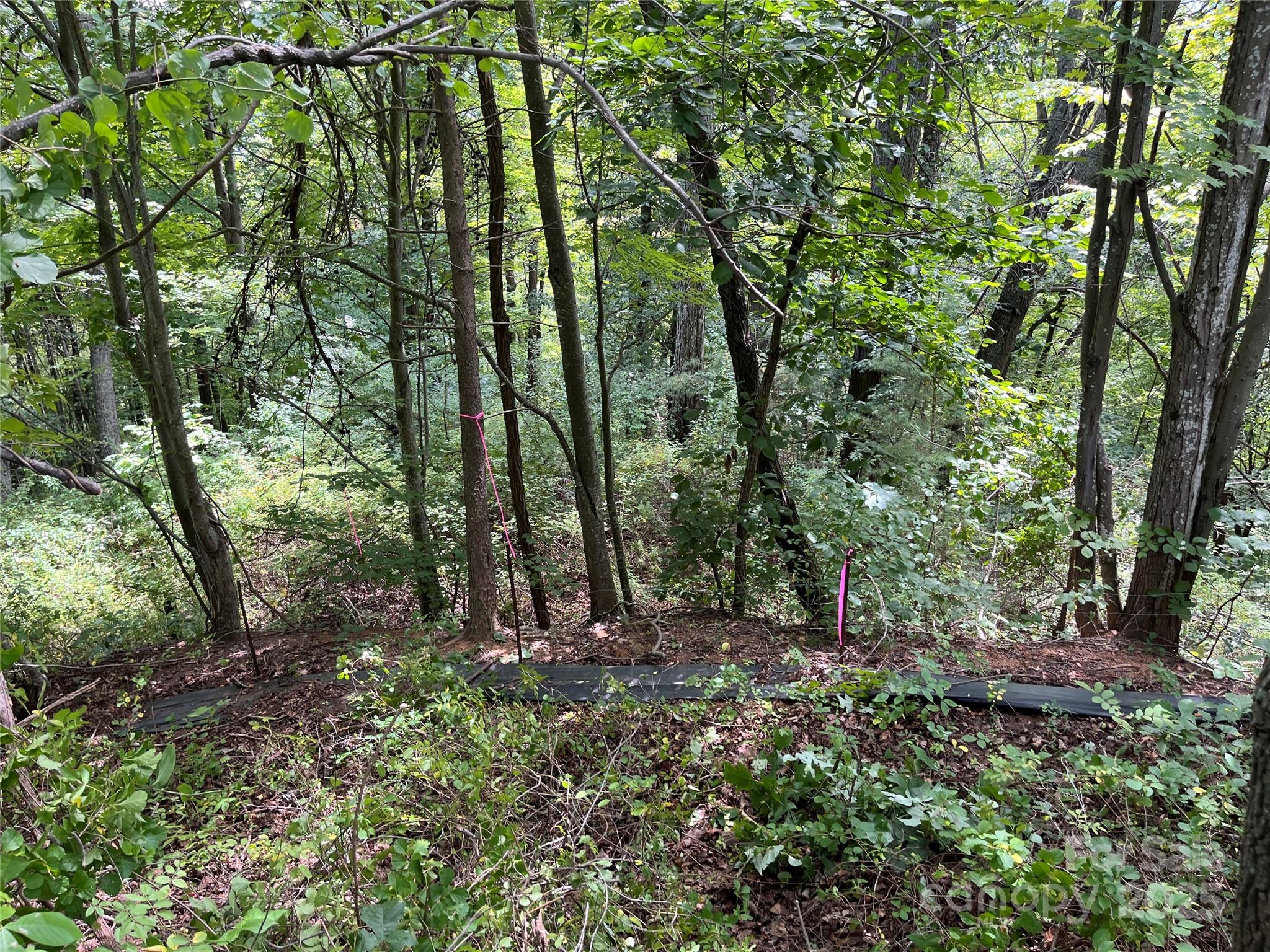 4 Summit View Drive 4 Property Photo 14