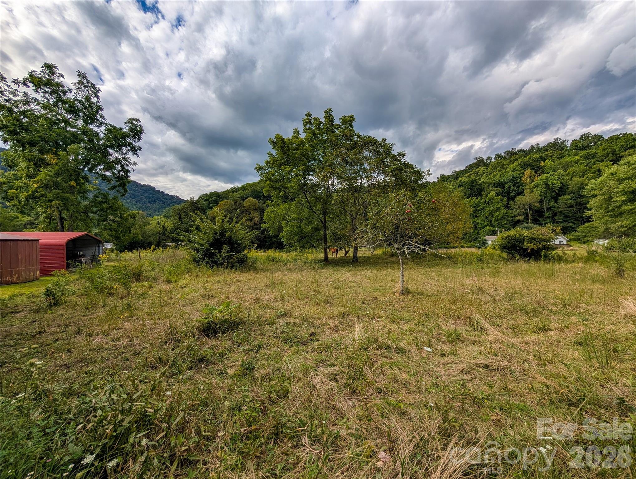 165 Cattail Creek Road Property Photo 12