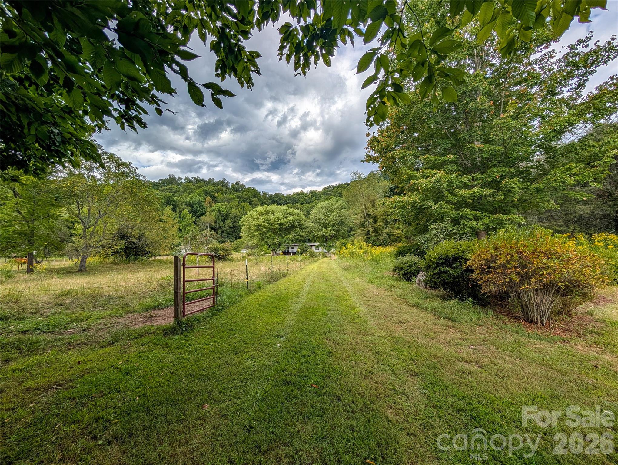 165 Cattail Creek Road Property Photo 15