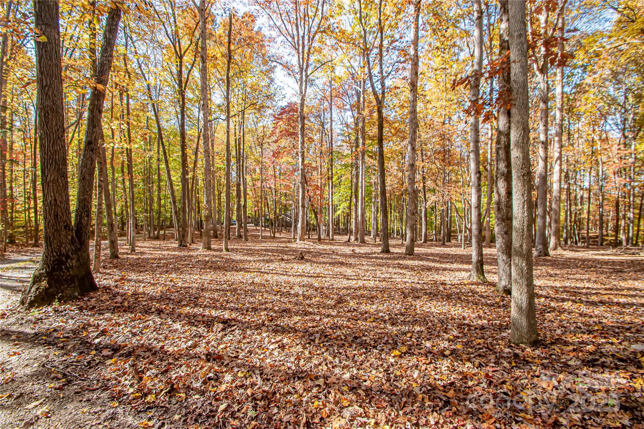 5608 Davis Road Property Photo 38