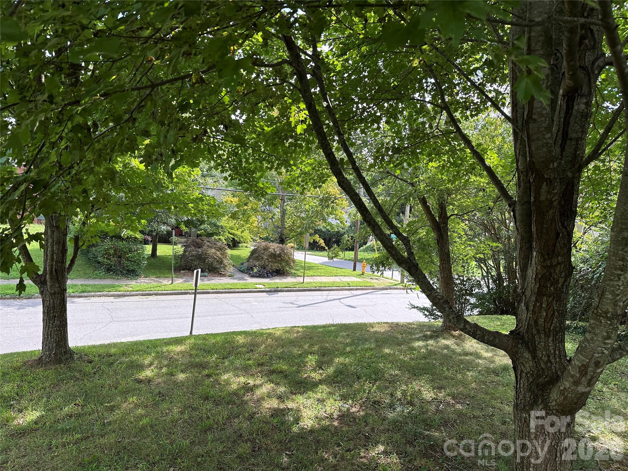 61 Maney Avenue Property Photo 2