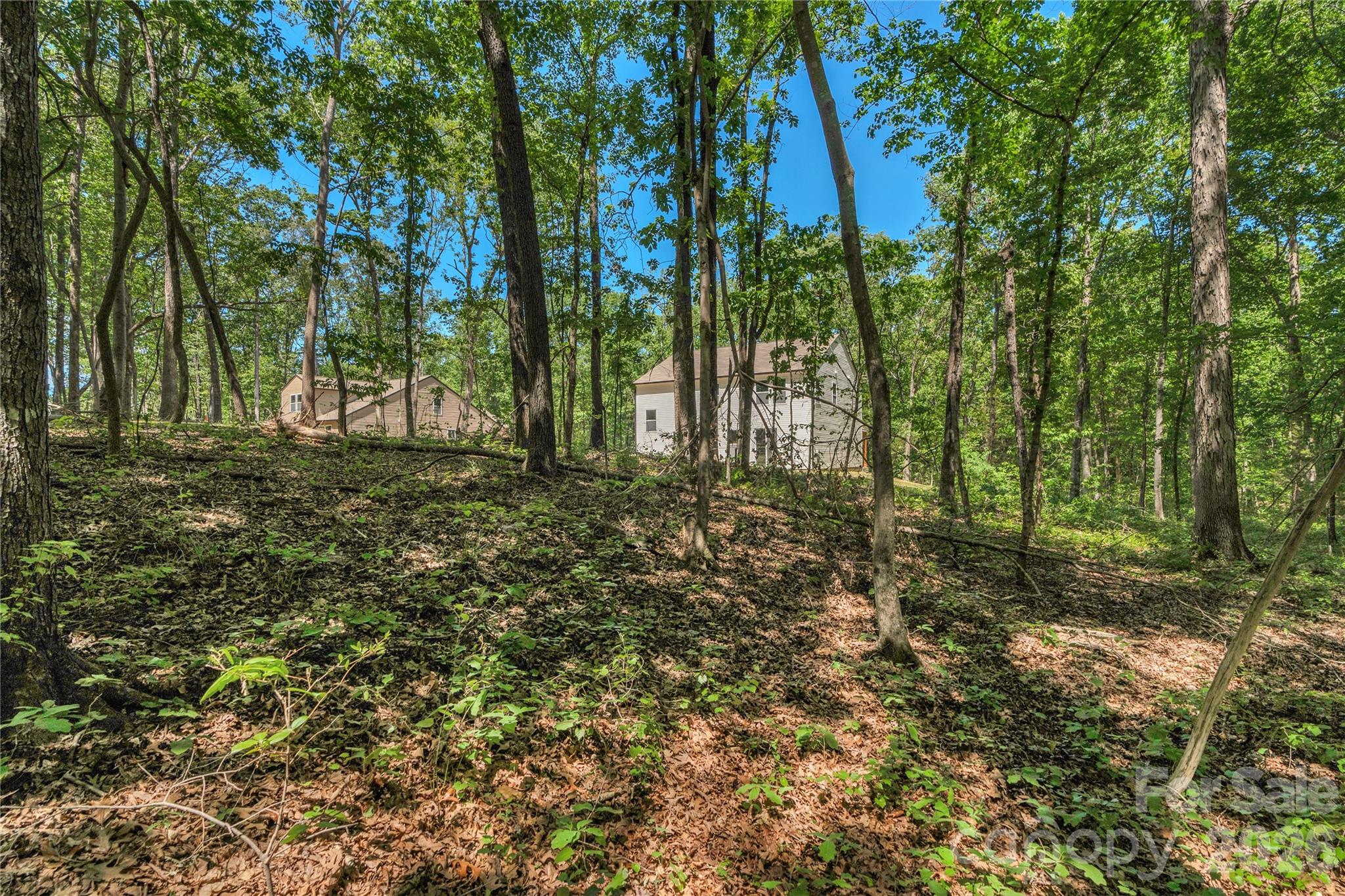 5630 Tipton Road Property Photo 41