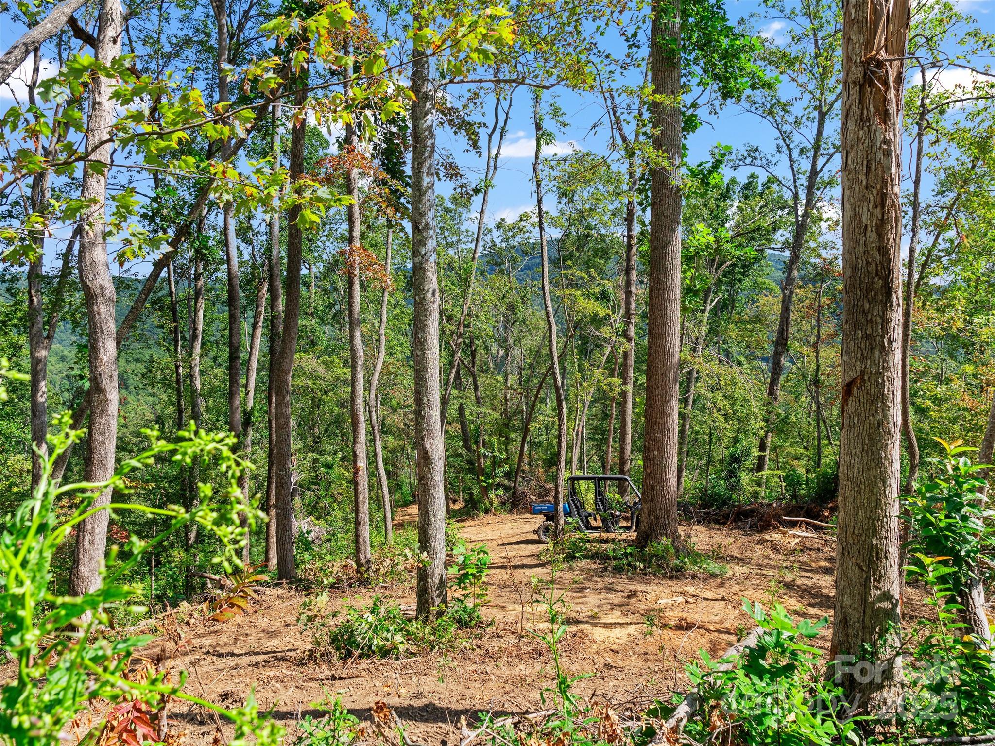 99999 Youngs Gap Road Property Photo 6