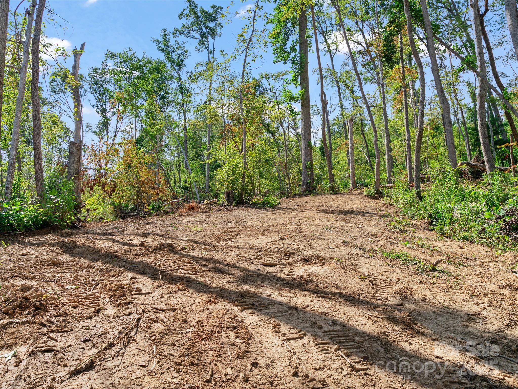 99999 Youngs Gap Road Property Photo 12