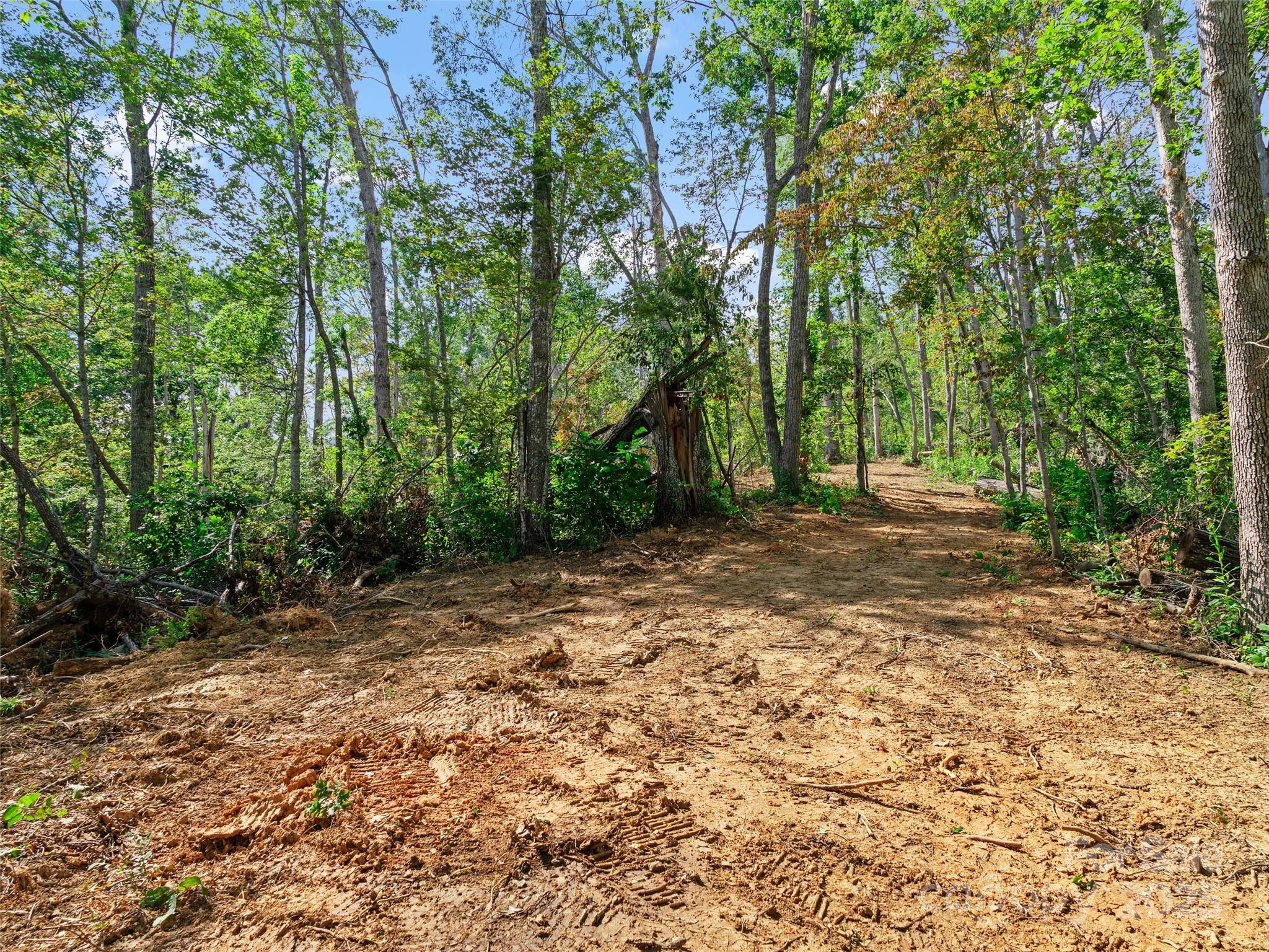 99999 Youngs Gap Road Property Photo 15