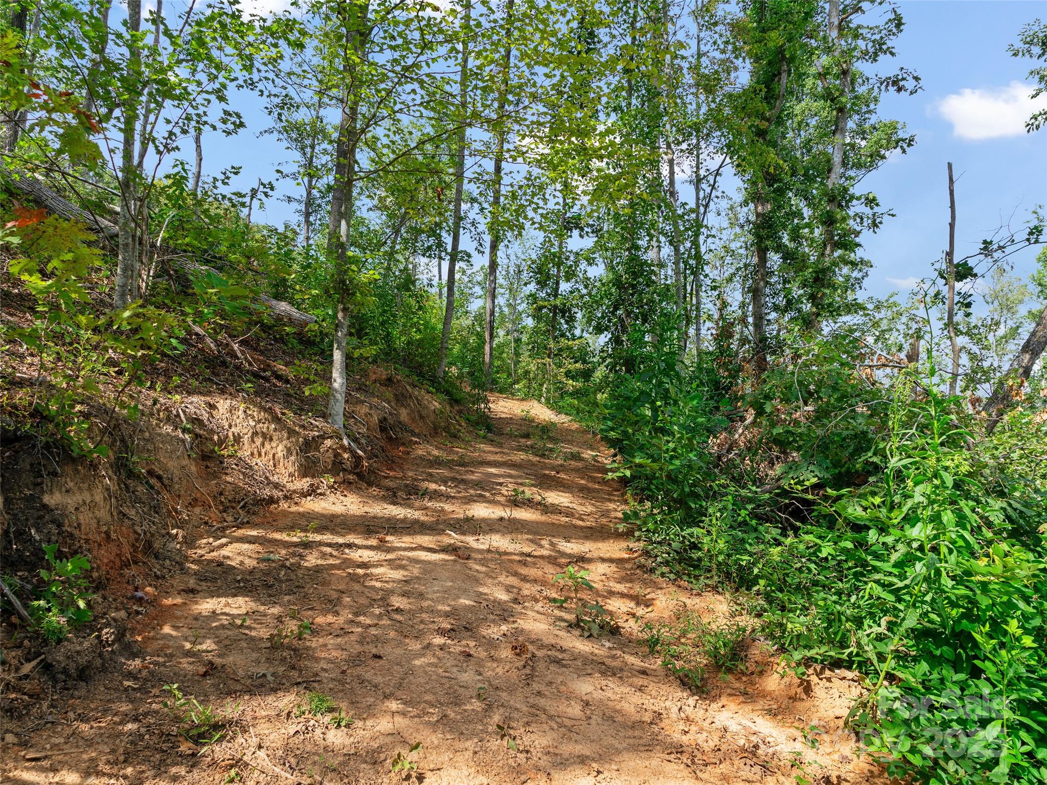 99999 Youngs Gap Road Property Photo 16