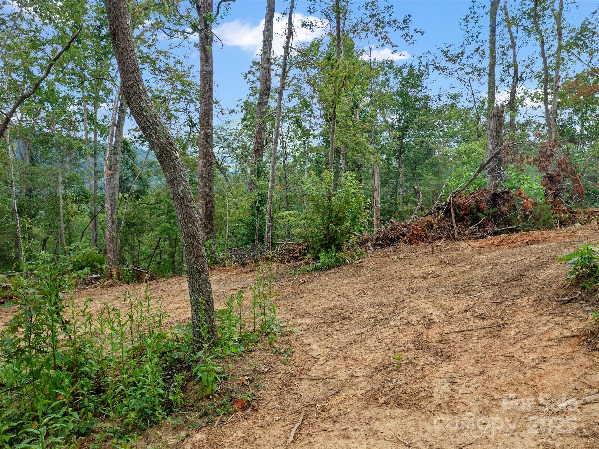 99999 Youngs Gap Road Property Photo 19