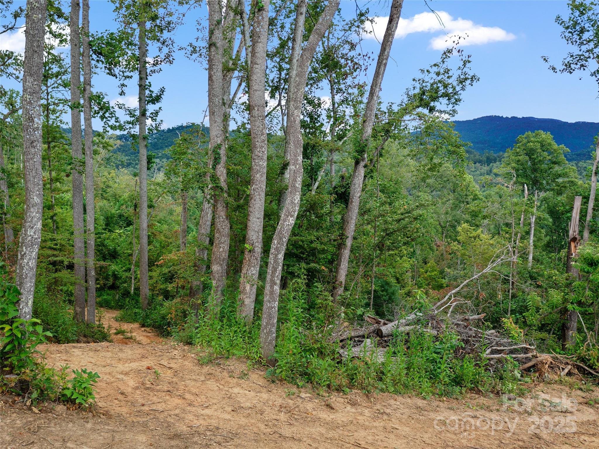 99999 Youngs Gap Road Property Photo 21
