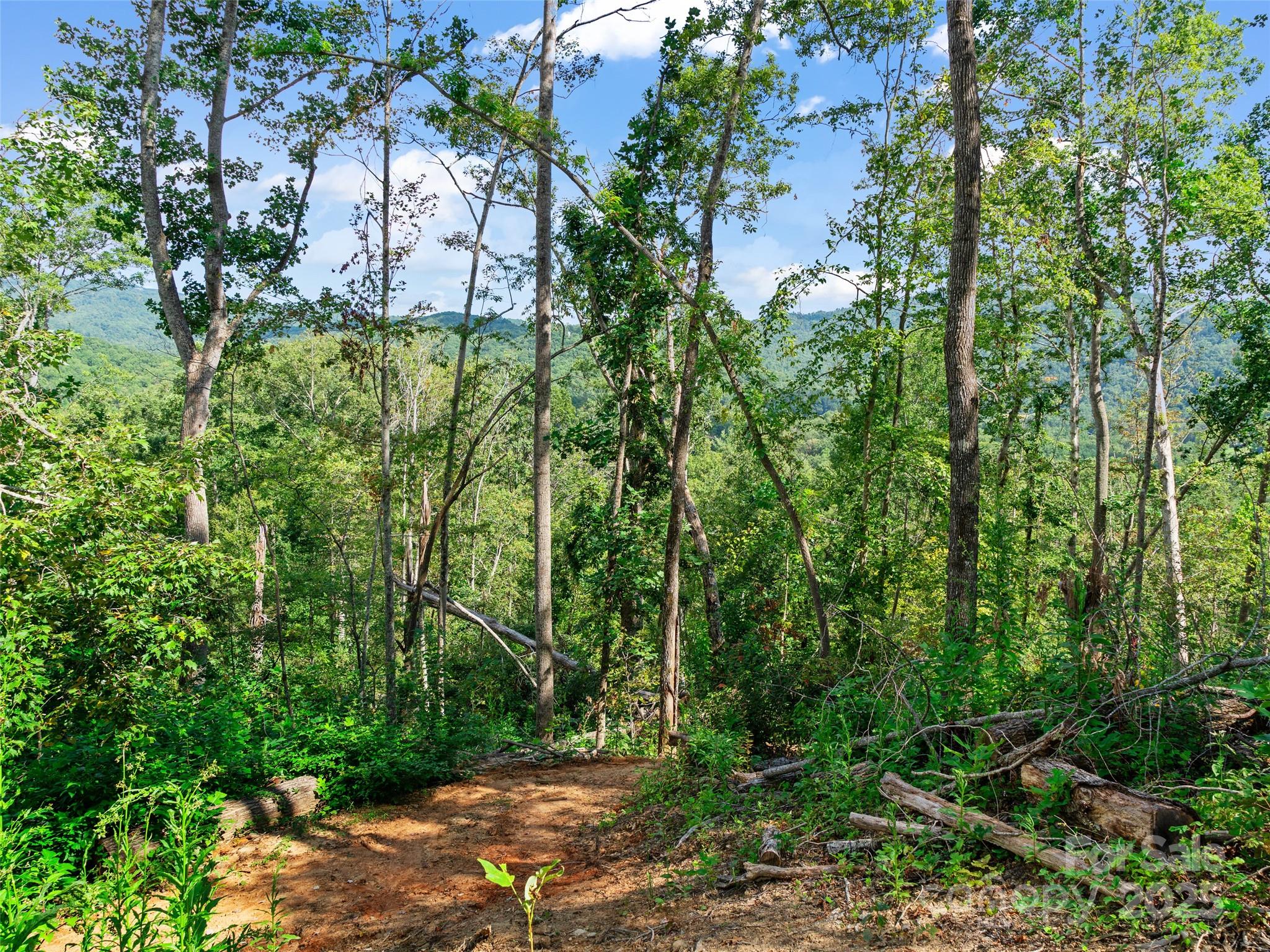 99999 Youngs Gap Road Property Photo 22
