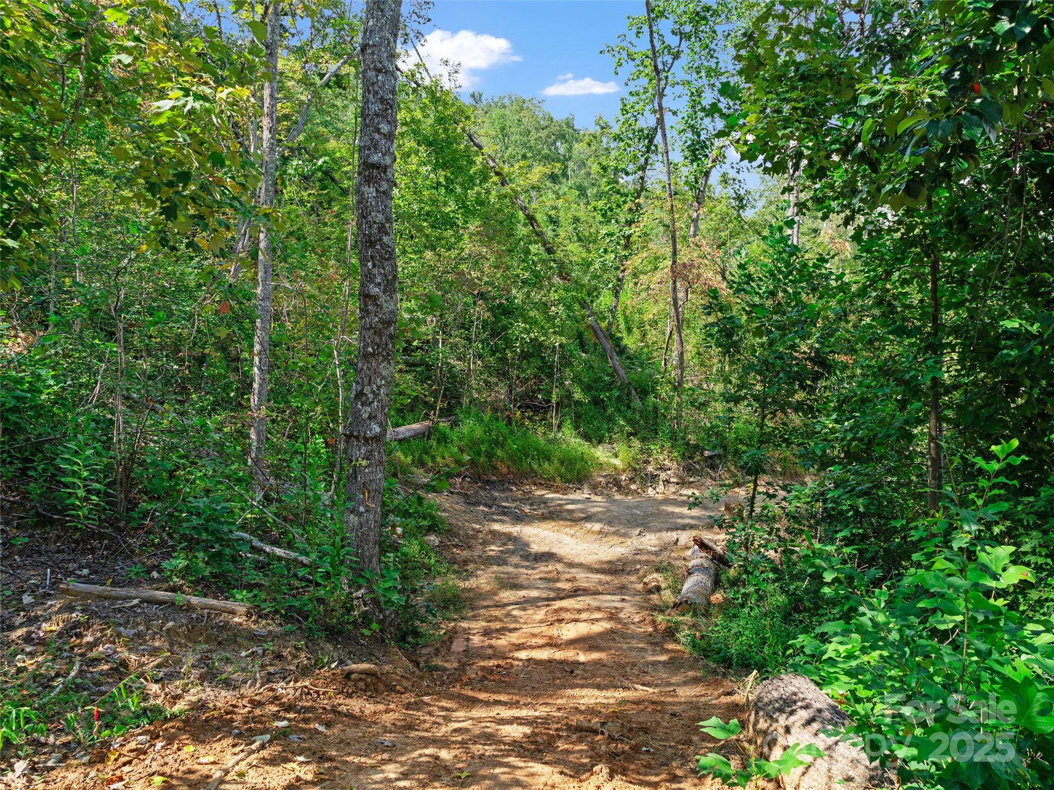 99999 Youngs Gap Road Property Photo 23