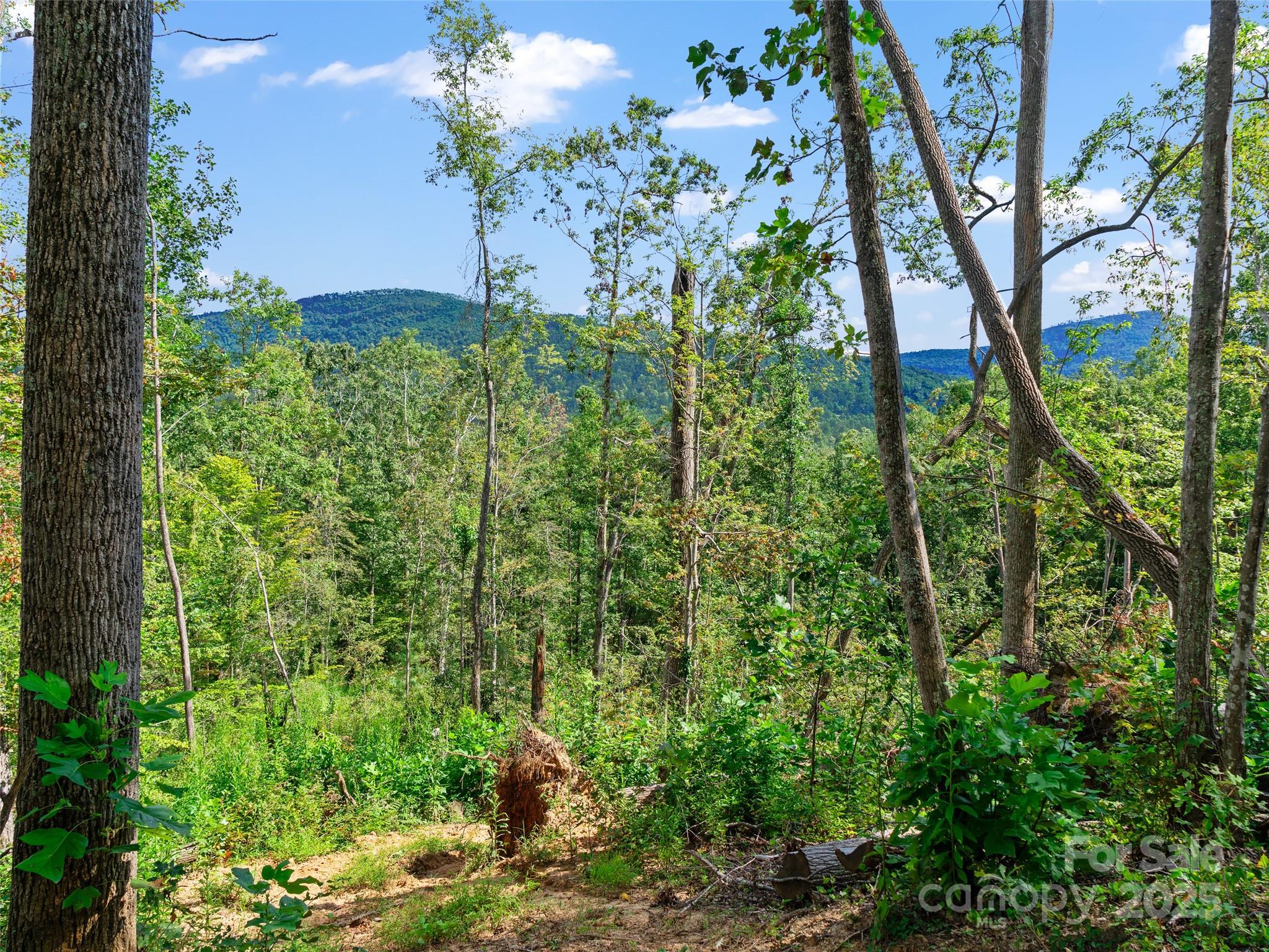 99999 Youngs Gap Road Property Photo 25