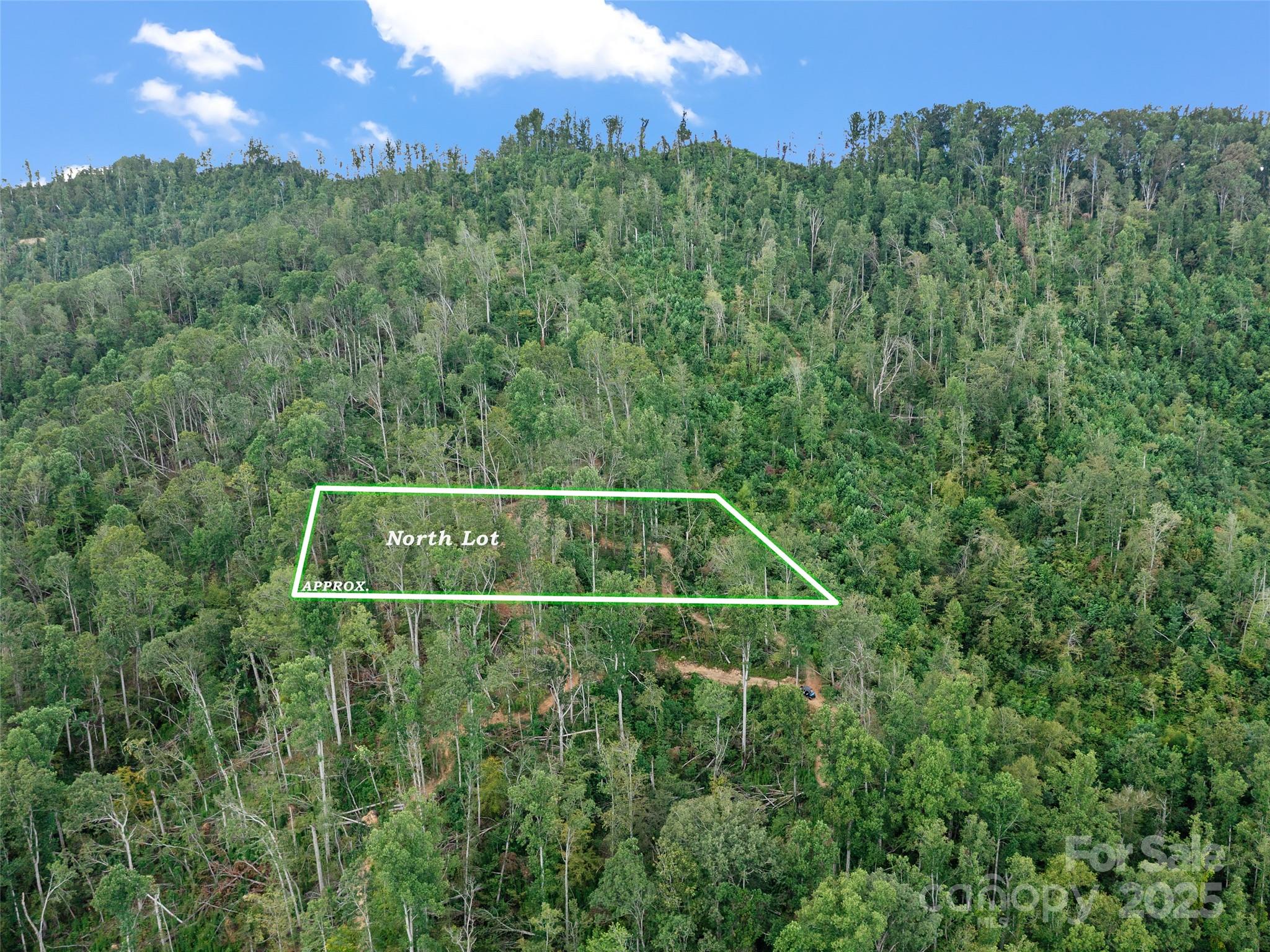 99999 Youngs Gap Road North Lot Property Photo 1